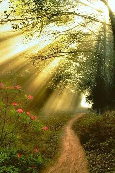 cd02e903e7ef05286c56c0224b769bd8--sun-rays-pathways